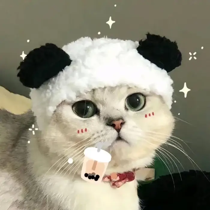 Bộ sưu tập ảnh avatar cute cho nam và nữ hot nhất hiện nay