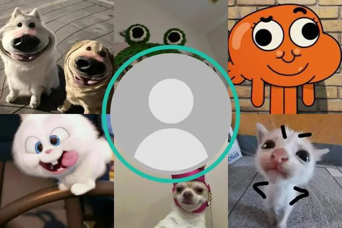 Tổng hợp avatar hài hước và ấn tượng nhất trên mạng xã hội