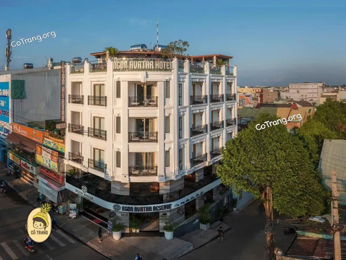 Ngon Avatar Luxury Boutique Hotel - Khách sạn 3 Sao đẹp tại Gia Lai, giá  phòng, review
