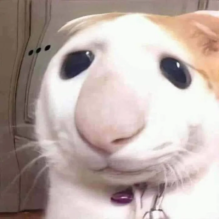 Tổng hợp 100+ avatar meme siêu hài, siêu chất không thể bỏ qua