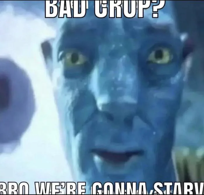 Có sub nào chuyên về meme với kiểu mặt avatar bị nén lại không nhỉ? : r/ Avatar