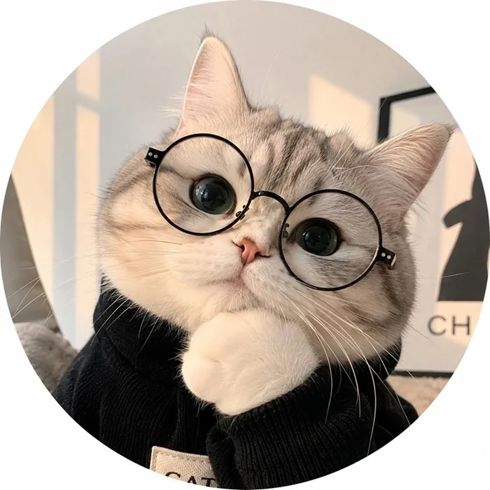 221+ avatar mèo đeo kính cute cực nét, siêu ciu ngọt xỉu