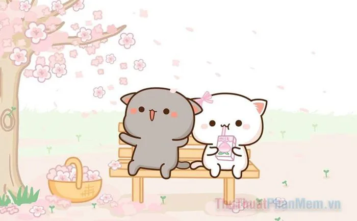 Ảnh đại diện đôi mèo dễ thương