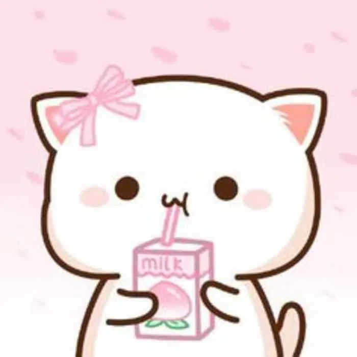 Tổng hợp +100 Ảnh avatar mèo cute đẹp dành cho giới yêu mèo