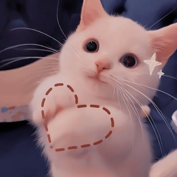 500+ avatar mèo cute, ngầu, hài hước và dễ thương nhất