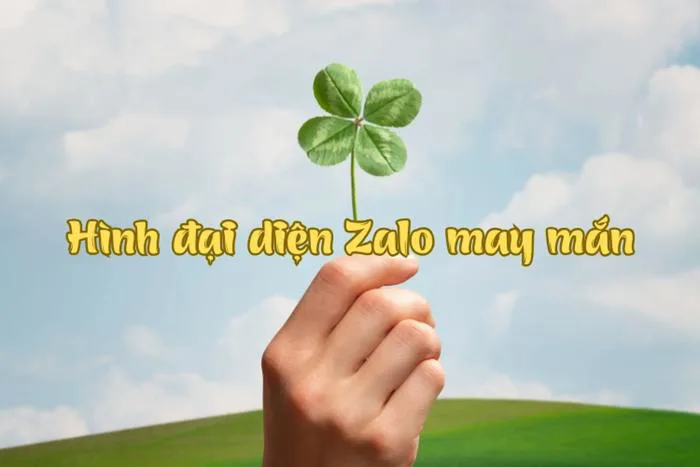 Gợi ý 150+ hình đại diện Zalo may mắn, thu hút tiền bạc