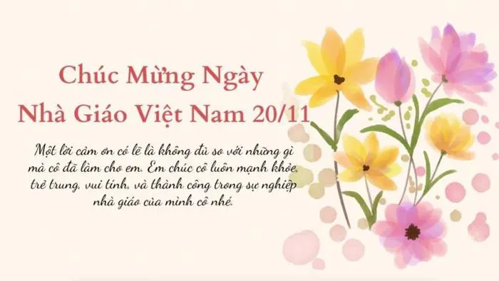99+ Hình ảnh đẹp về thây cô giáo 20 11 mới nhất 2024