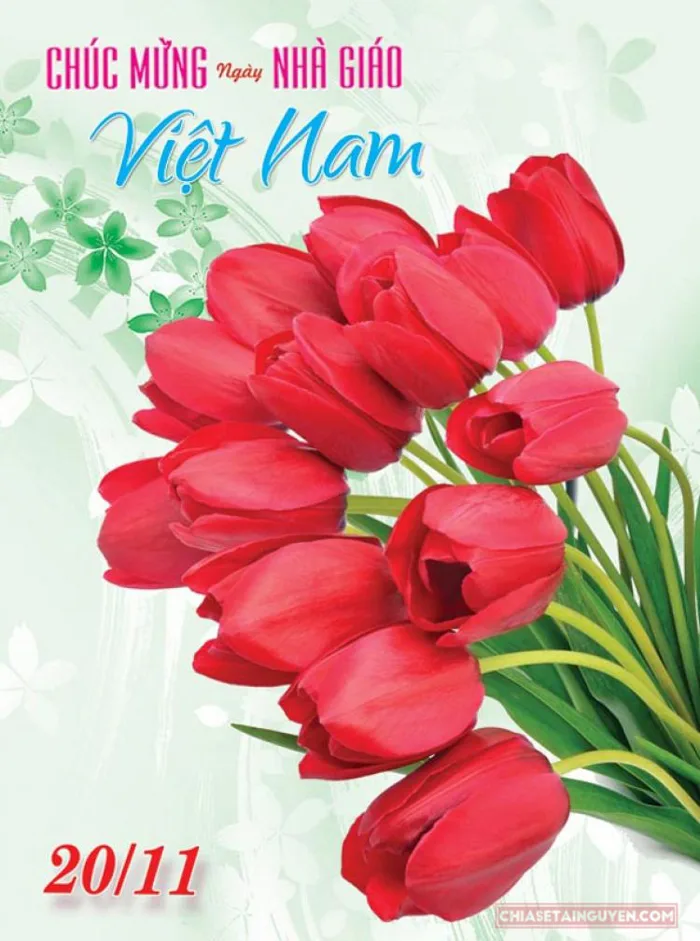 Top hình ảnh chào mừng ngày 20/11 đẹp và ý nghĩa nhất