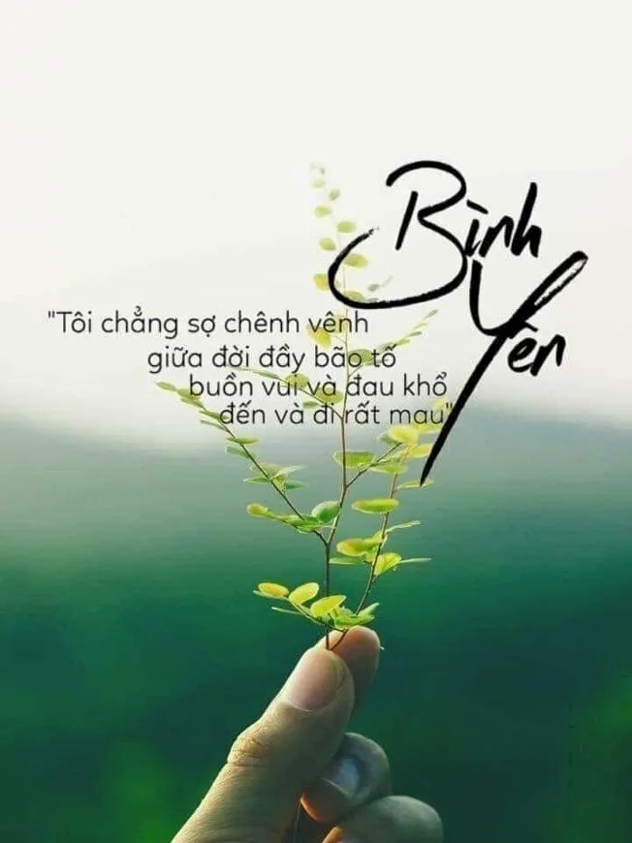 hinh-nen-binh-an-1