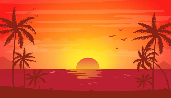 hình ảnh : ánh sáng mặt trời, Bầu trời, Hoàng hôn, trái cam, cây cọ, bình  Minh, Hình nền máy tính, Arecales, Ánh sáng rực rỡ, điềm tĩnh, Bình minh, hình  minh