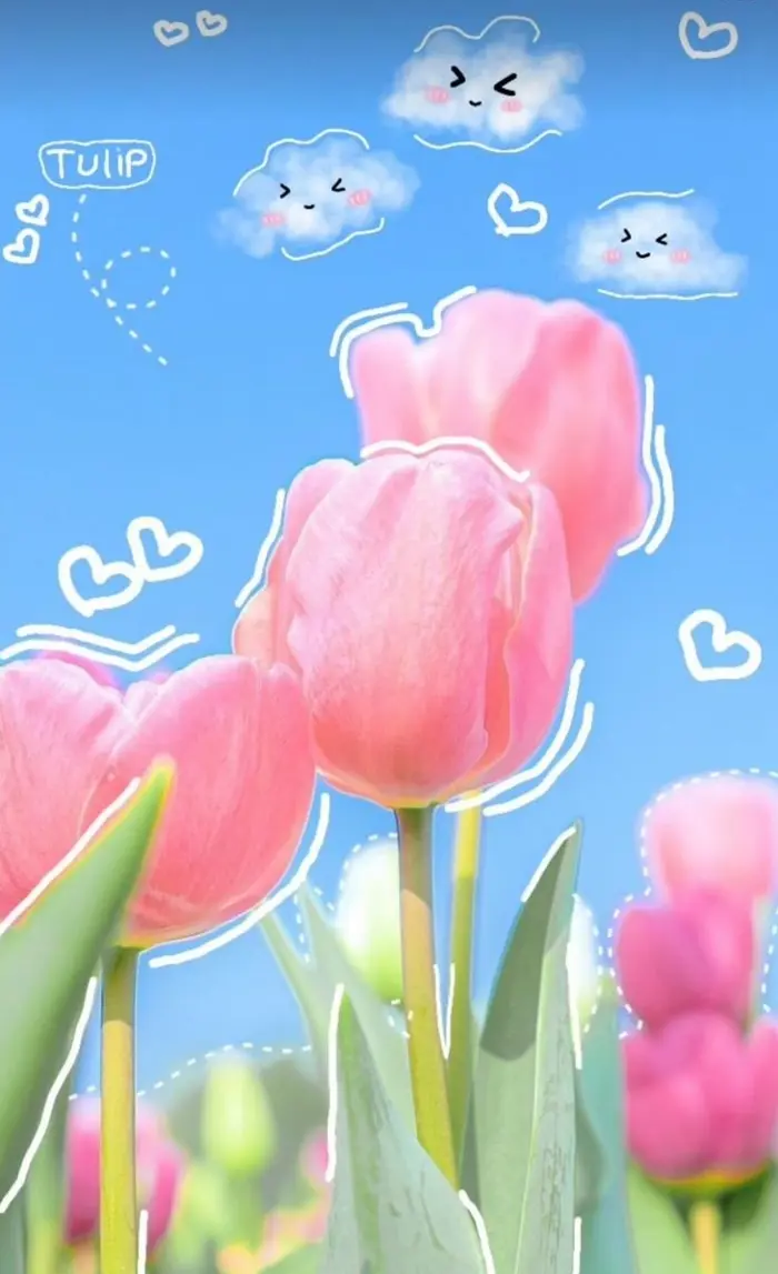 Bộ sưu tập 15+ hoa tulip làm hình nền siêu đẹp chất lượng 4K