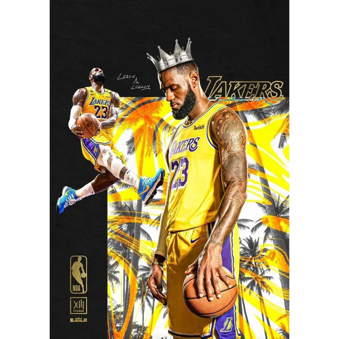 X117) Poster Bóng Rổ NBA - Áp Phích Dán Tường Hình Cầu Thủ Bóng Rổ Lebron  James có sẵn keo dán | Shopee Việt Nam