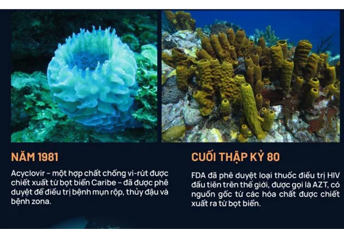 Bọt biển nắm giữ tương lai của y học - Tepbac