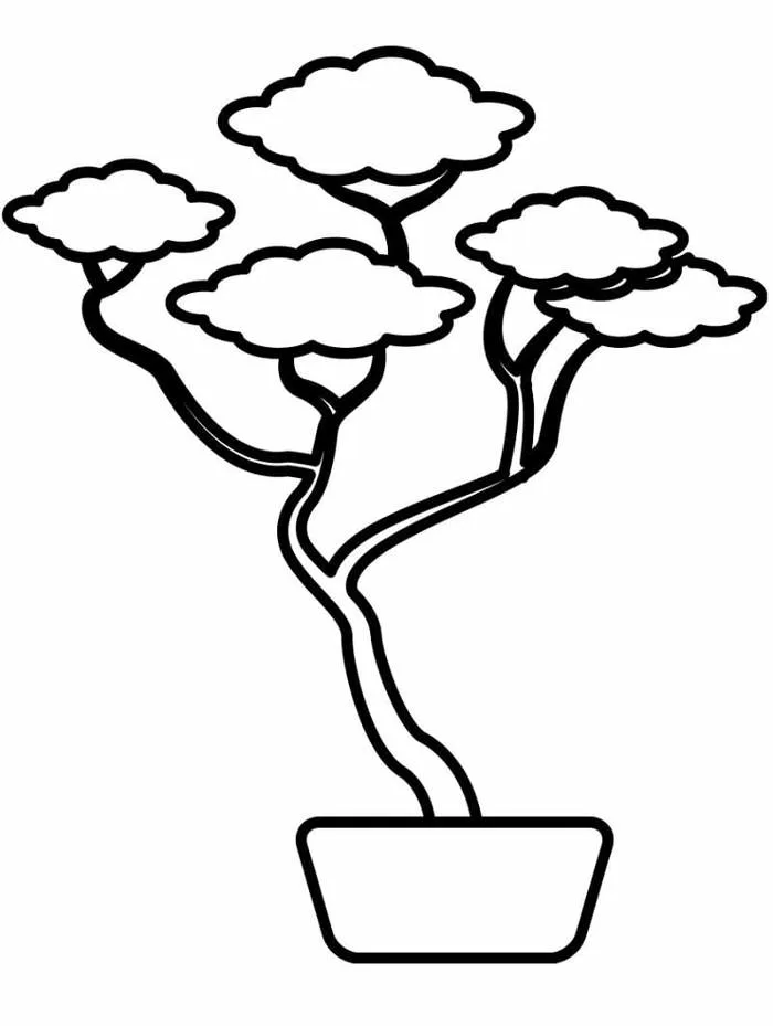 Tô màu Cây Xanh Trong Chậu - Trang Tô Màu Cho Bé