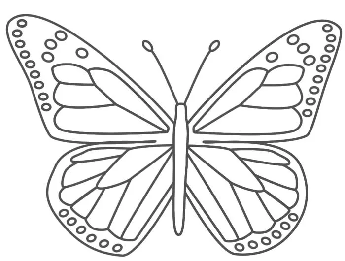 tranh-to-mau-con-buom-1