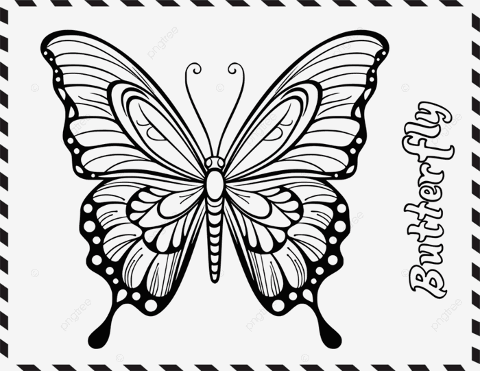 Hình ảnh Tranh Tô Màu Con Bướm Dễ Thương Cho Trẻ Em PNG , Clip Nghệ Thuật  Bướm, Clipart Vẽ, Clip Nghệ Thuật Trẻ Em PNG và Vector với nền trong suốt