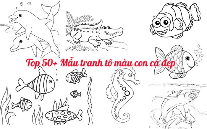 Top 50+ Mẫu tranh tô màu con cá đẹp, chất lượng, ngầu nhất cho bé 2021 –  Topshare.vn