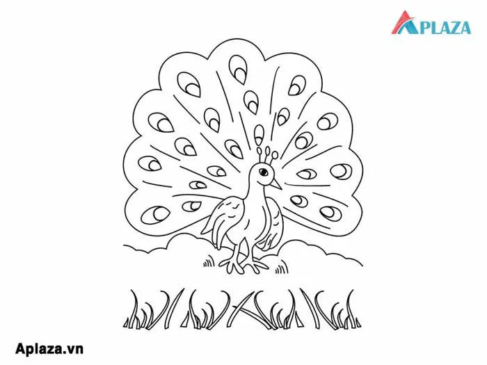 Bộ Tranh Tô Màu Con Công Tuyệt Vời Nhất Cho Bé - Aplaza