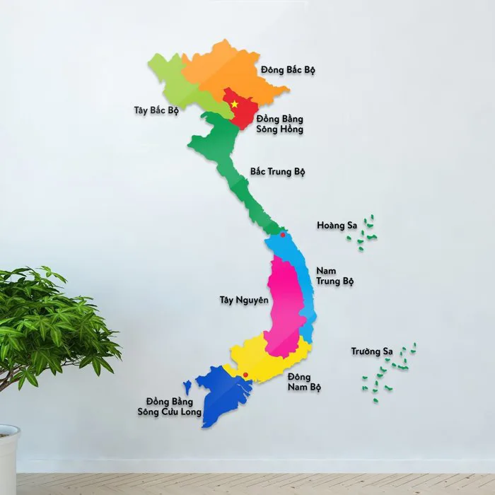 2m,3m]Tranh dán tường MICA bản đồ Việt Nam dán mầm non, giáo dục -  Vnmama.com