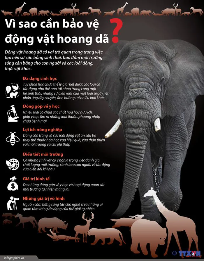 Vì sao cần bảo vệ động vật hoang dã?