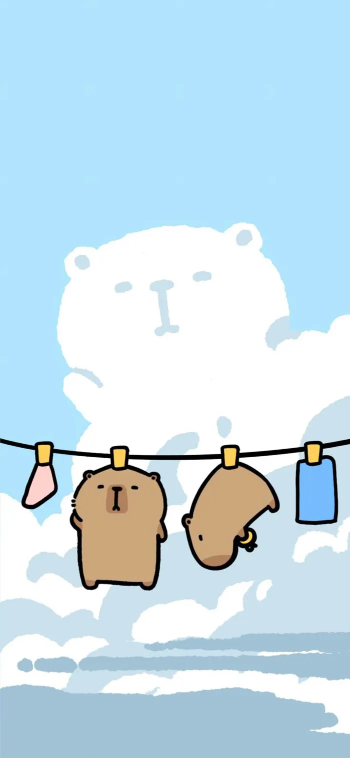 Capybara hình nền điện thoại | Hình nền capybara cute, Hình nền cappy bara,  Capybara dễ