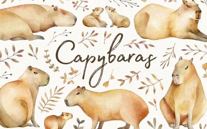 Tổng hợp 100+ hình nền Capybara dễ thương và siêu đáng yêu HD
