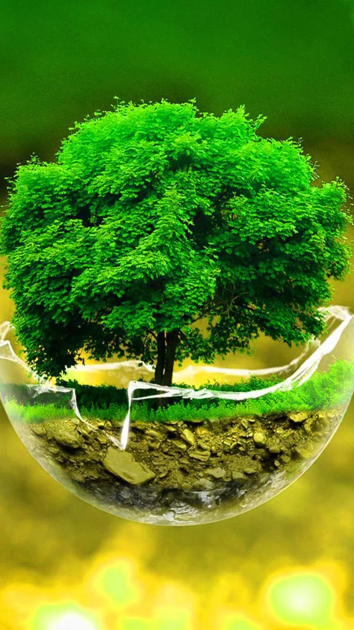 Hình nền cây xanh đẹp nhất