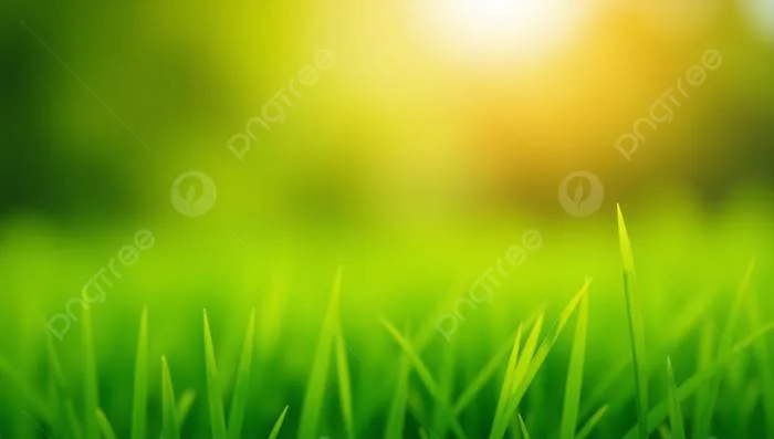 Hình nền Cỏ đóng Lên Kết Cấu Màu Xanh Lá Cây Một Nền Quyến Rũ Của Cây Xanh  Tươi Tốt, Cỏ đóng Lên Kết Cấu Màu Xanh Lá Cây Một Nền Quyến