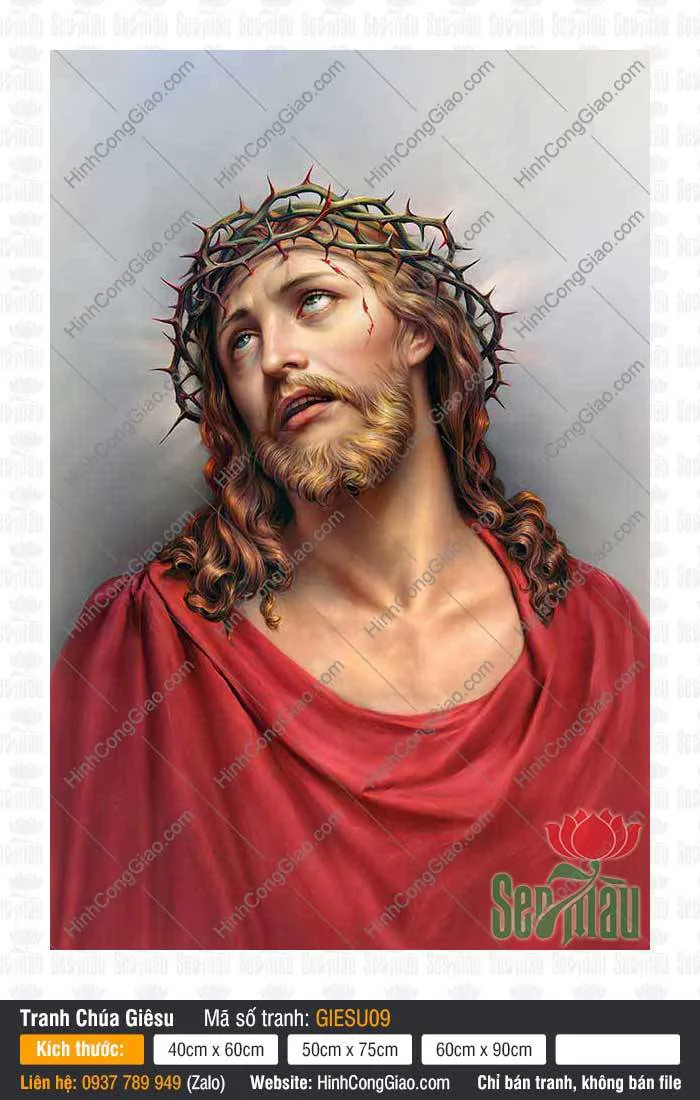 Hình ảnh chúa Jesus GieSu09 | Đội mão gai ngước lên trời