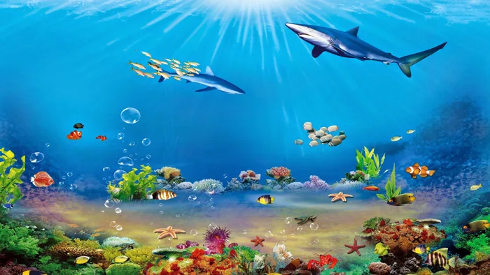 Hình nền đại dương tuyệt đẹp