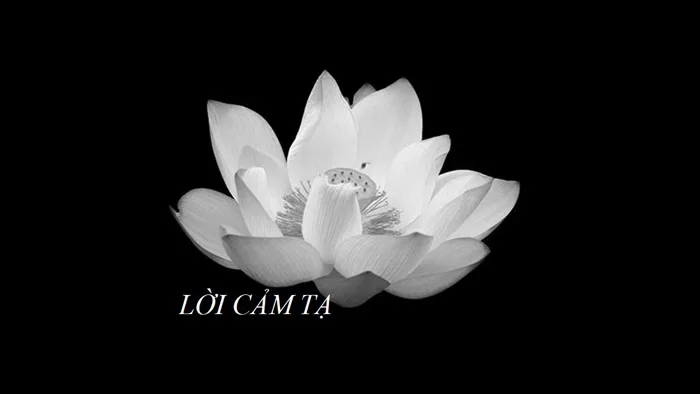Tổng hợp] Mẫu lời cảm tạ sau tang lễ hay nhất